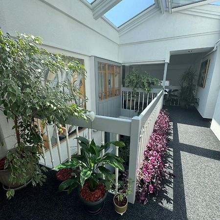 Villa Helvetia Târgu-Mureş Exterior foto