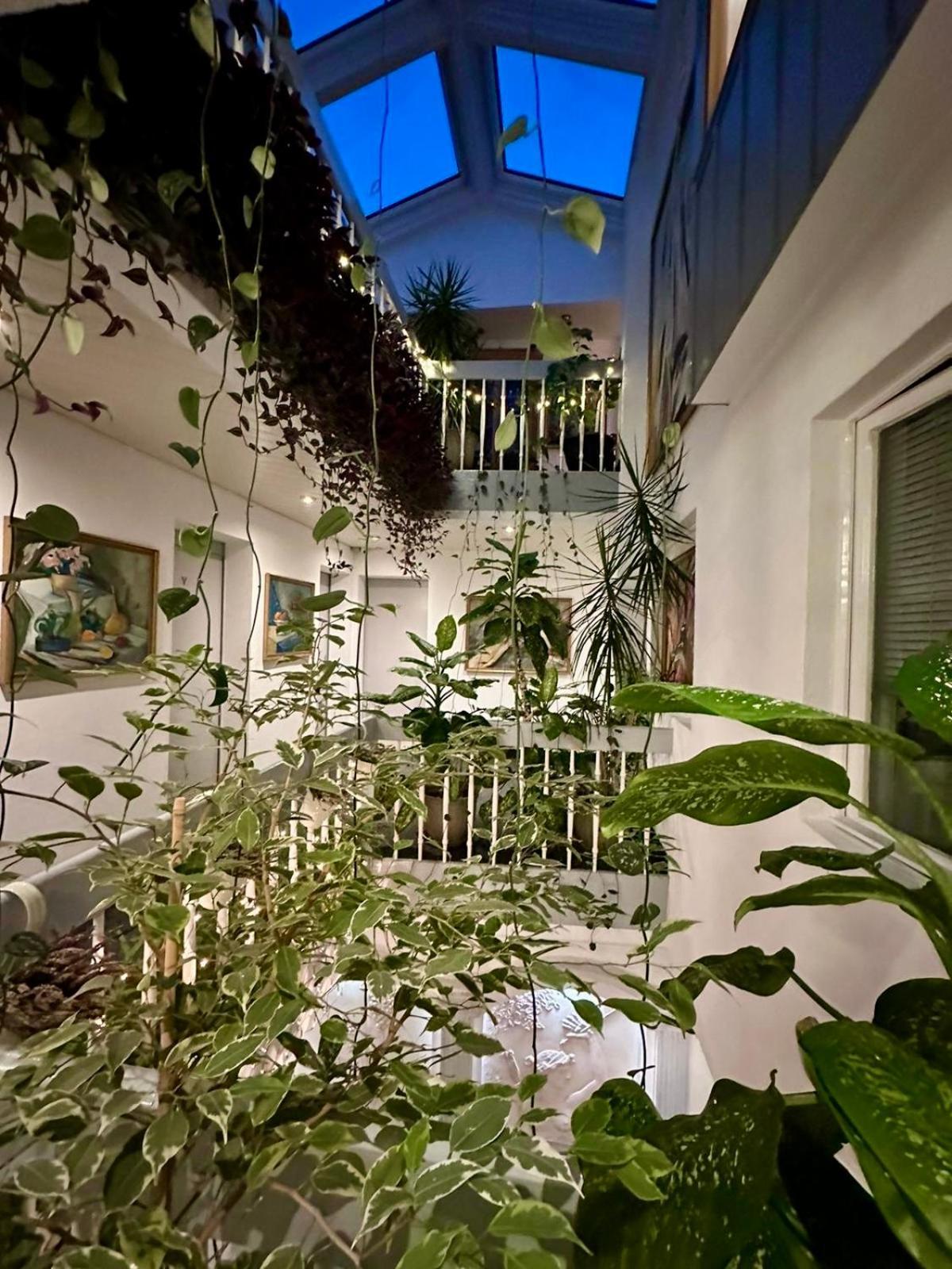 Villa Helvetia Târgu-Mureş Exterior foto