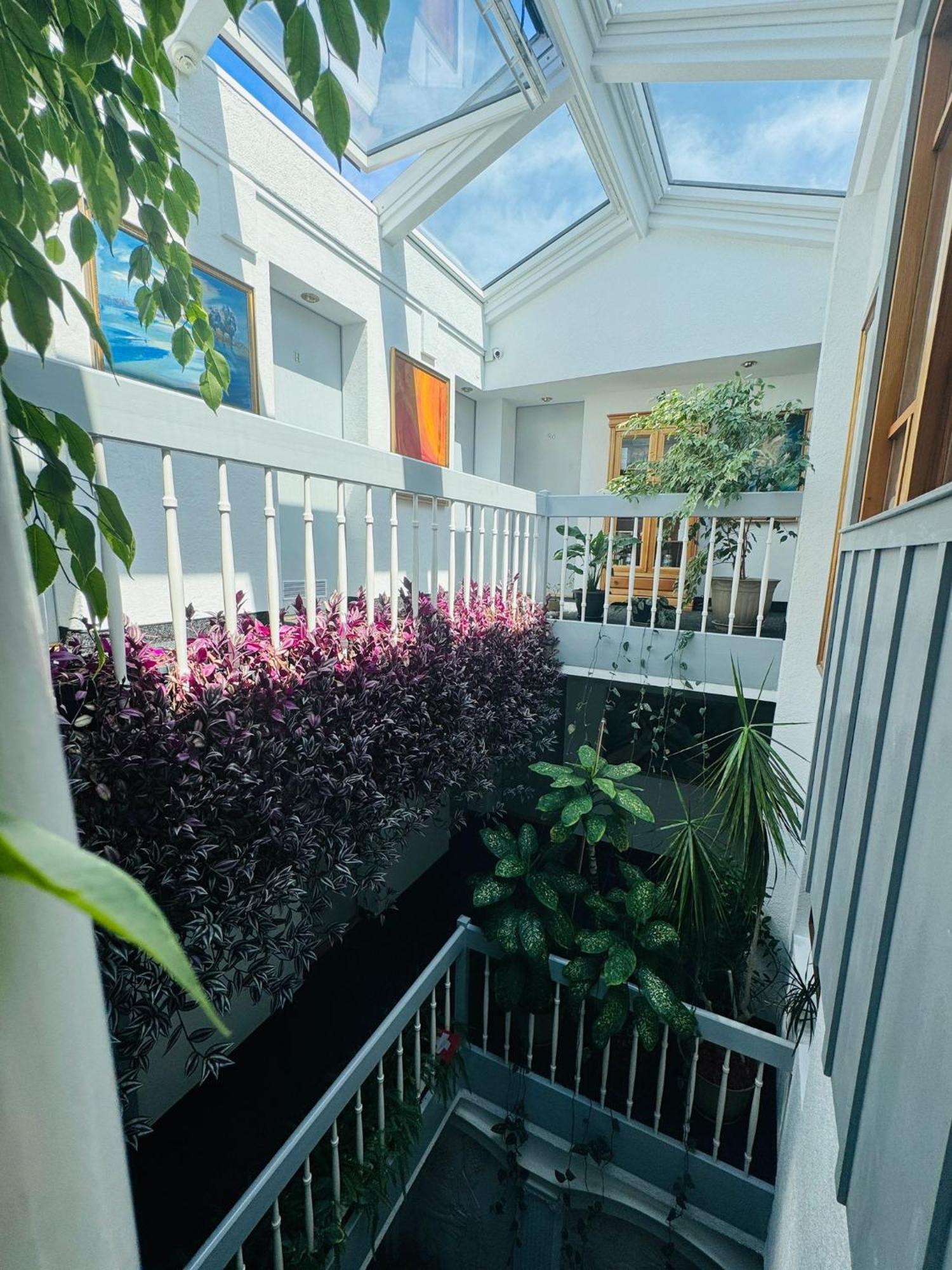 Villa Helvetia Târgu-Mureş Exterior foto